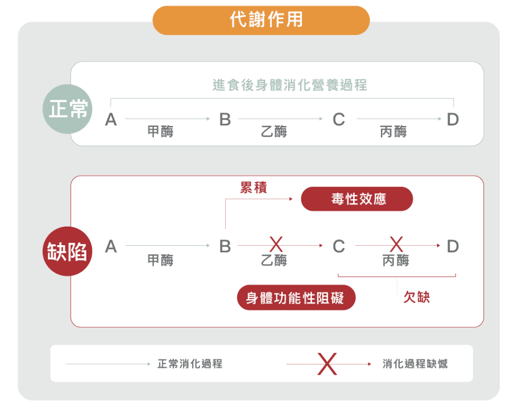 初生嬰兒代謝病檢查優惠